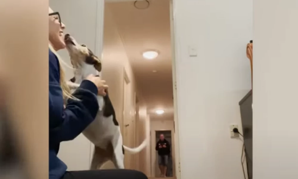 Το reunion σκυλάκου με το αφεντικό του μετά από 1.5 χρόνο